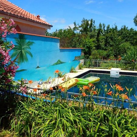 2 Chambres Et Salle De Bain Un Oasis De Bien Etre Piscine Et Jardin Direct Gare Aeroport ตูลูส ภายนอก รูปภาพ