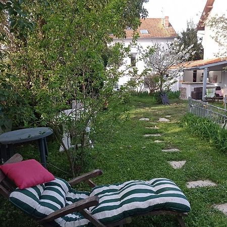2 Chambres Et Salle De Bain Un Oasis De Bien Etre Piscine Et Jardin Direct Gare Aeroport ตูลูส ภายนอก รูปภาพ
