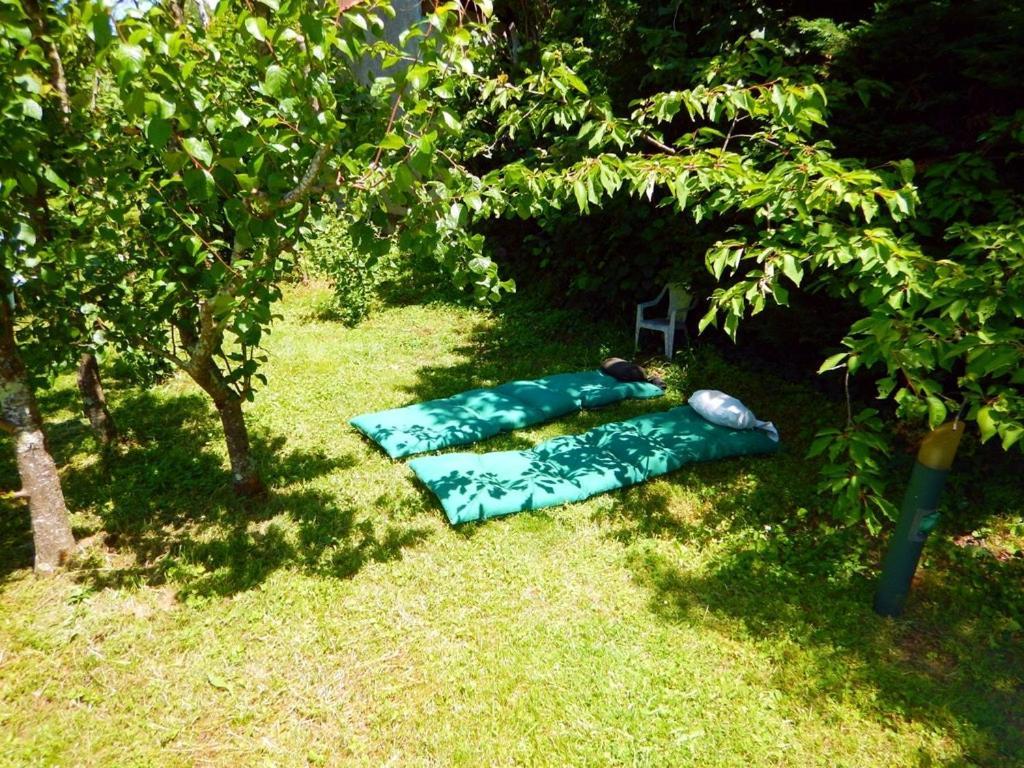2 Chambres Et Salle De Bain Un Oasis De Bien Etre Piscine Et Jardin Direct Gare Aeroport ตูลูส ภายนอก รูปภาพ